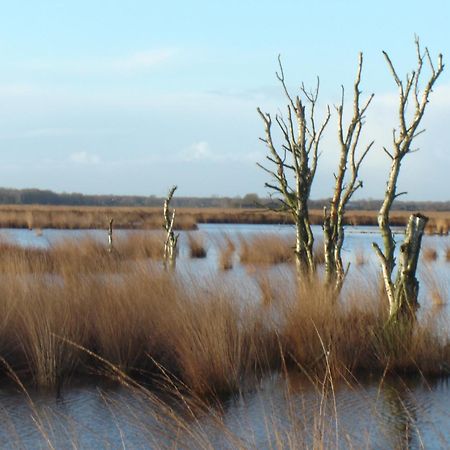 Bitter En Zoet Hotel Veenhuizen Bagian luar foto